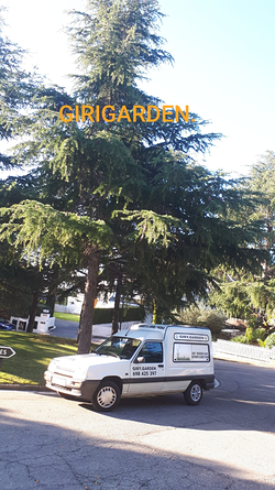 Galería de imágenes