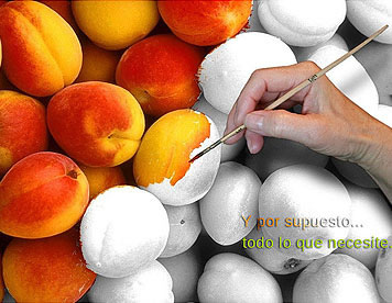 Toma&acute;s Fruit Palencia