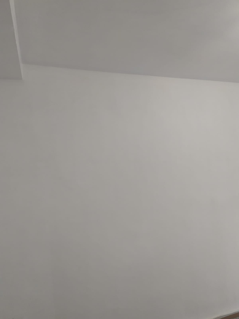 Pinturas y Revestimientos San Miguel PINTORES