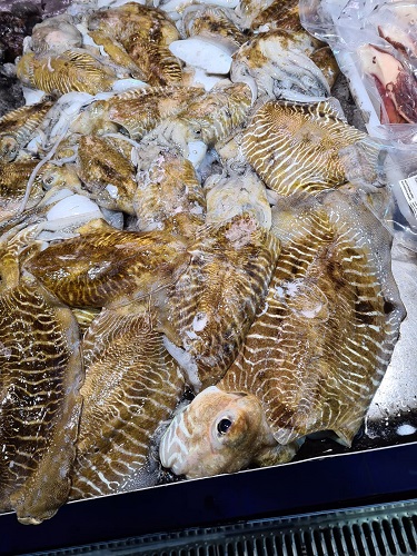 Chocos Huelva - Pescadería Chocos Jose Huelva