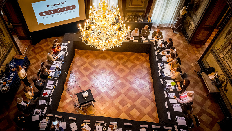 Fotograf&iacute;a Anibal Trejo 7