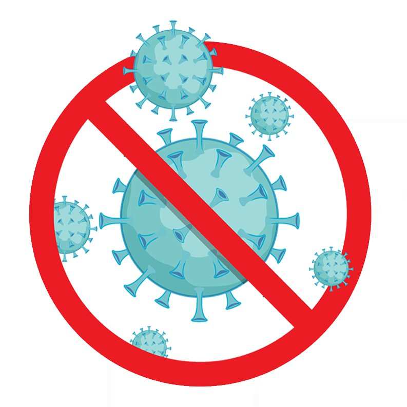 Bejarcontrol Prevenci&oacute;n Y Control De Plagas Béjar