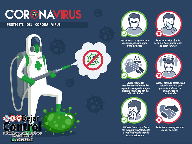 Bejarcontrol Prevenci&oacute;n Y Control De Plagas 2