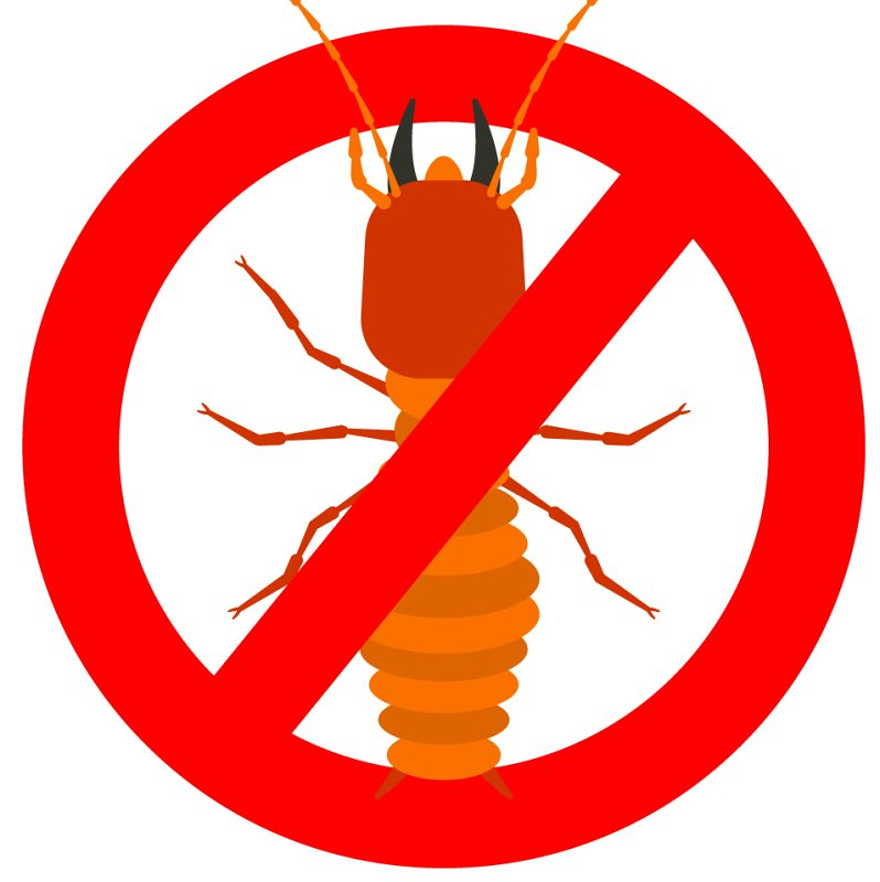 Bejarcontrol Prevenci&oacute;n Y Control De Plagas DESINFECCION, DESRATIZACION Y DESINSECTACION