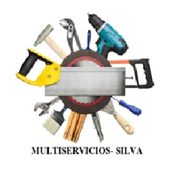 Multiservicios Silva