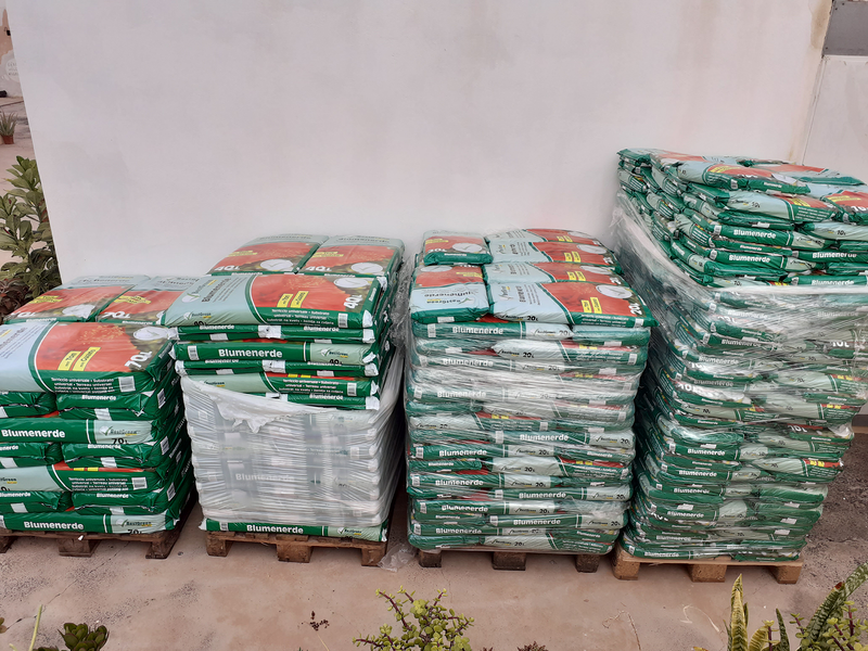 Tahiche Garden Lanzarote 2