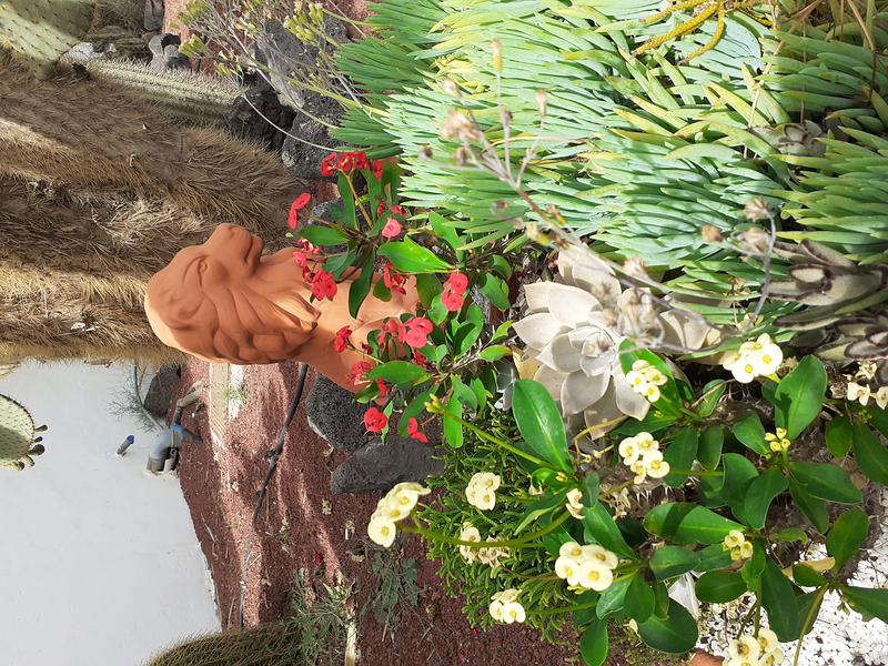 Tahiche Garden Lanzarote 6