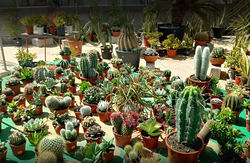 Galería de imágenes