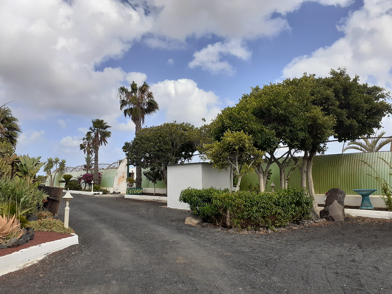 Tahiche Garden Lanzarote 5