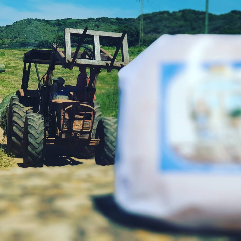 Formatges Sa Roqueta 20