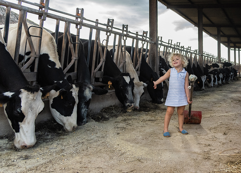 Formatges Sa Roqueta 36