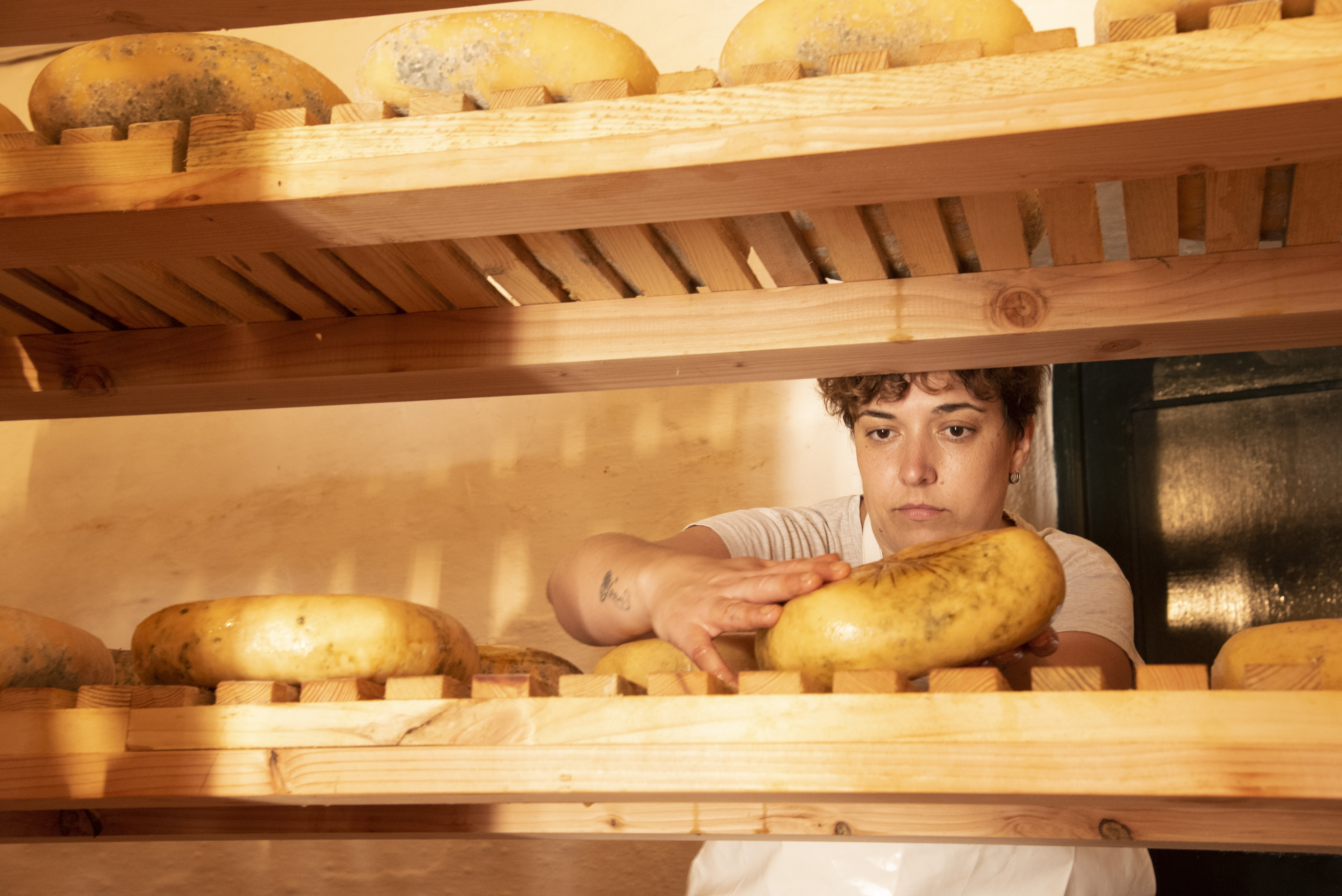 Formatges Sa Roqueta