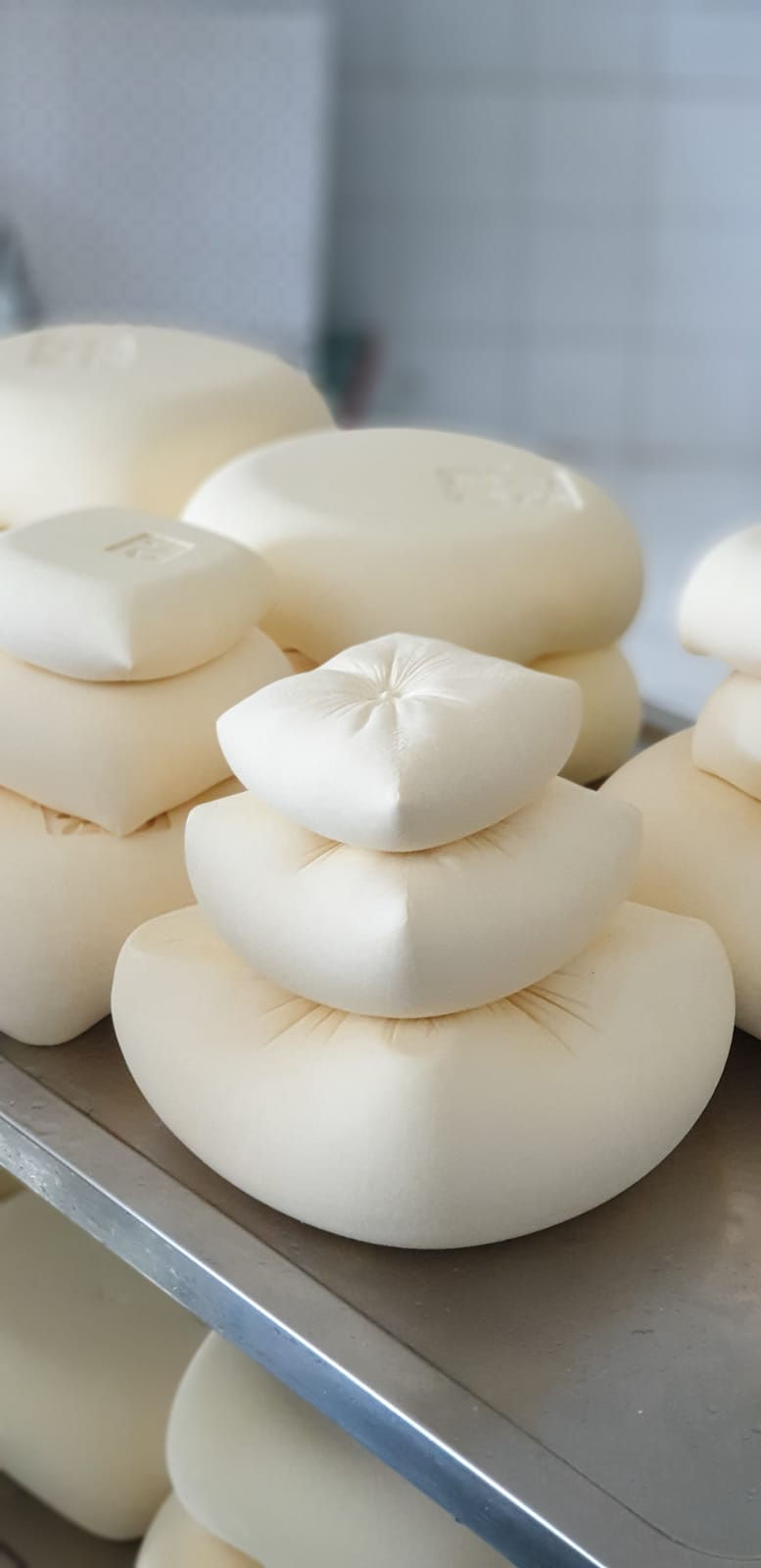 Formatges Sa Roqueta 30