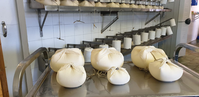 Formatges Sa Roqueta 17