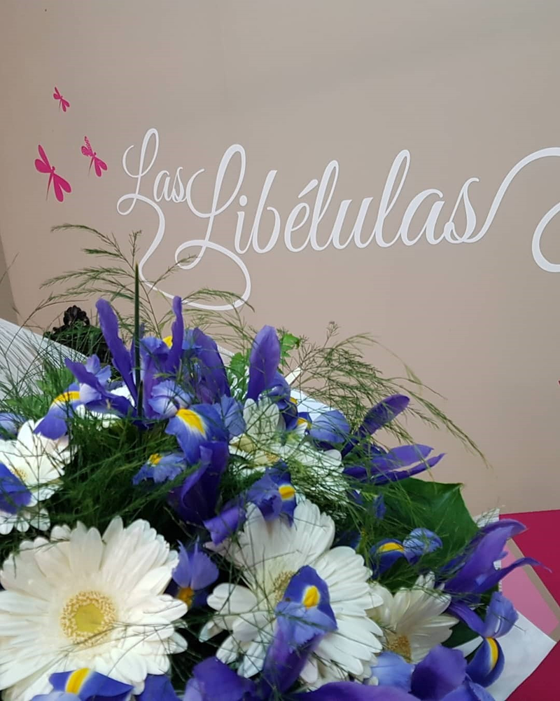 Las Lib&eacute;lulas Flower Shop 16