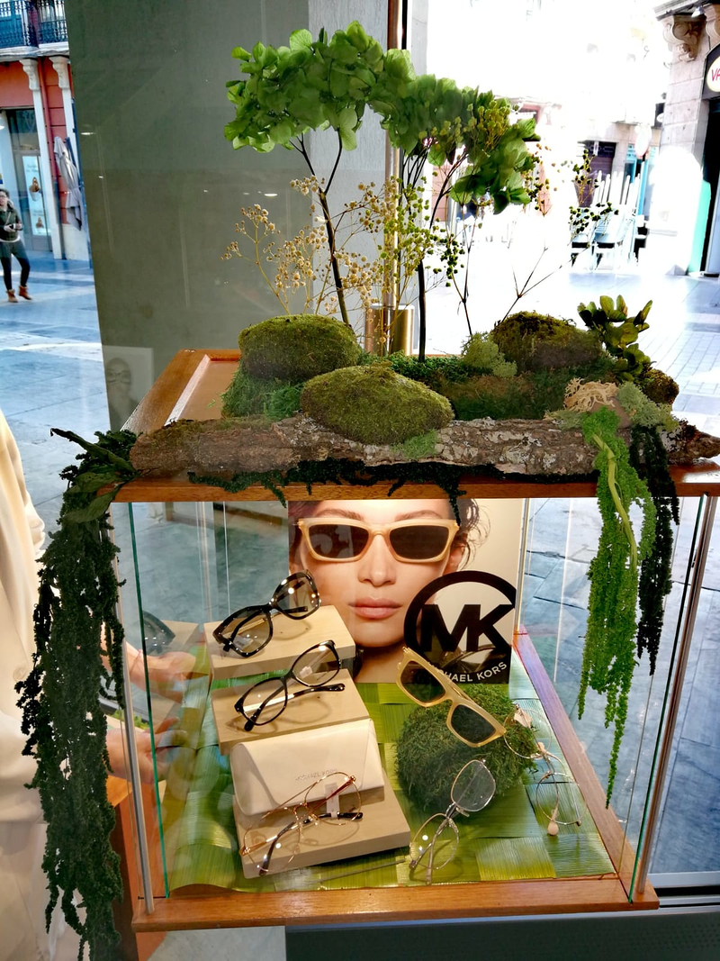 Florister&iacute;a Espacio Verde Le&oacute;n 7