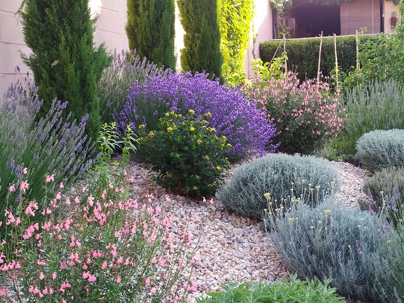 Florister&iacute;a Espacio Verde Le&oacute;n 8