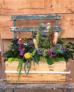 Galería de imágenes