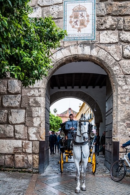Calesa Sevilla 8