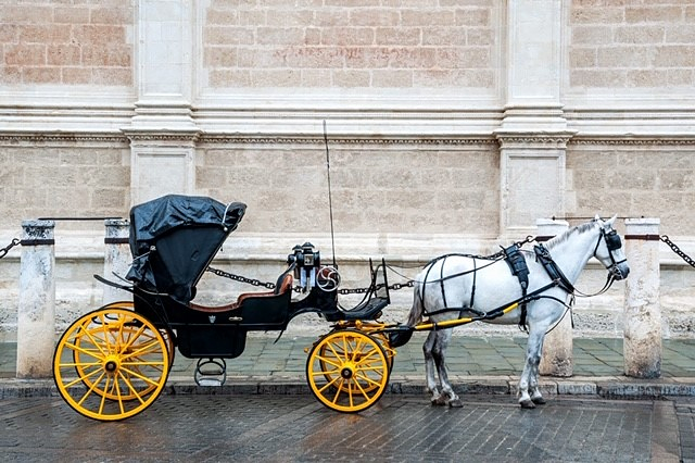 Calesa Sevilla 12