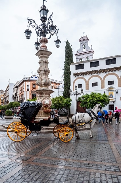 Calesa Sevilla 6