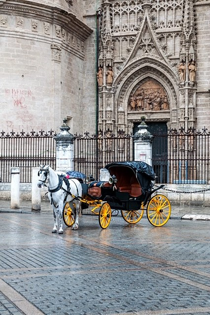 Calesa Sevilla 10