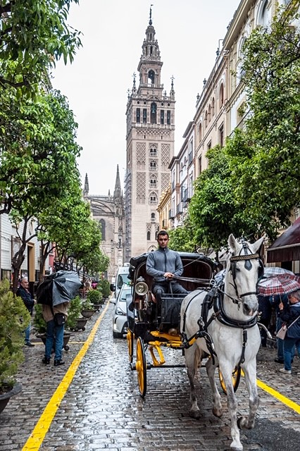 Calesa Sevilla 3