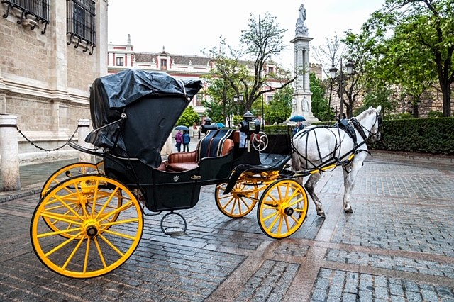 Calesa Sevilla 14