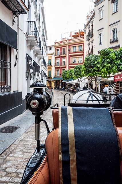 Calesa Sevilla Sevilla