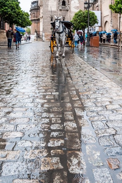 Calesa Sevilla COCHES DE CABALLOS