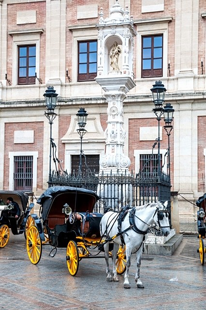 Calesa Sevilla 17