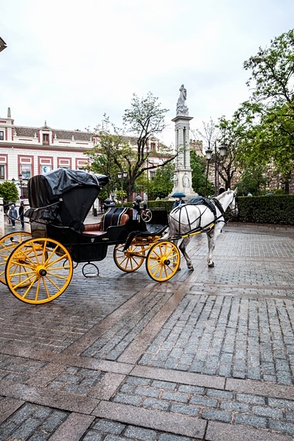 Calesa Sevilla 13