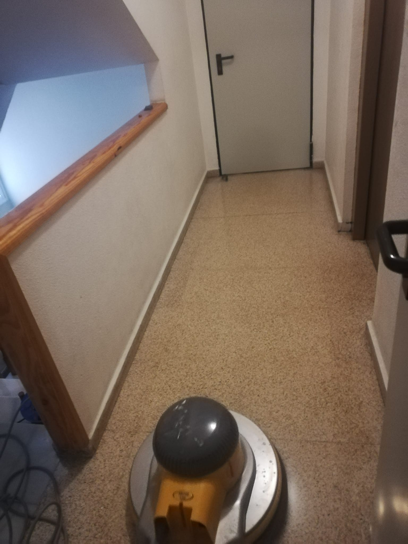 Multiservicios Brillamax 12