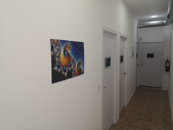 Galería de imágenes