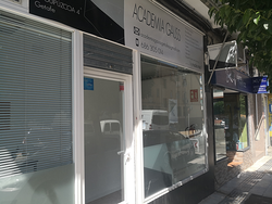 Galería de imágenes