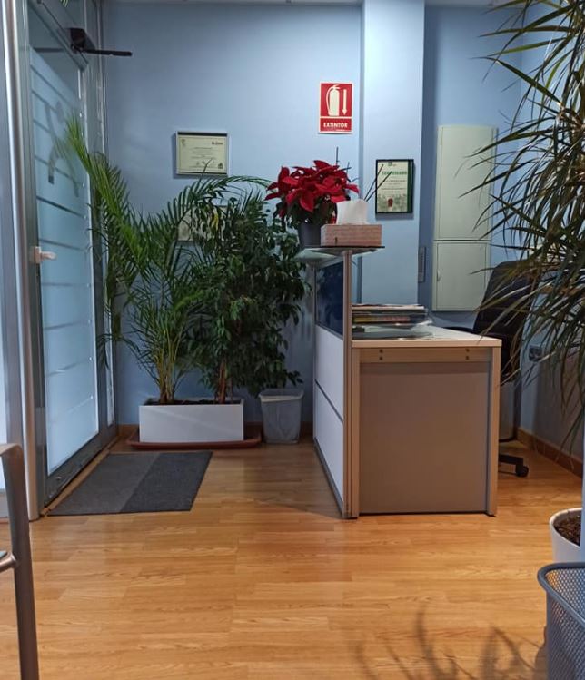 Limpieza Yulia Padul