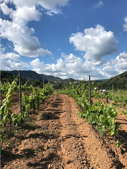 Galería de imágenes