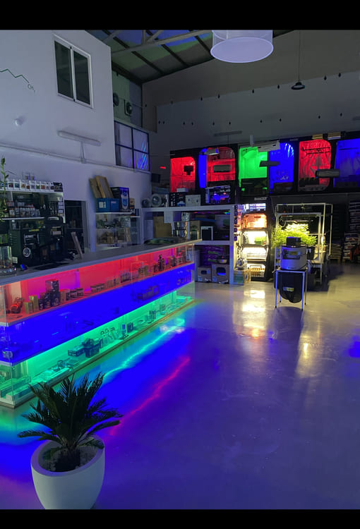 Galería de imágenes