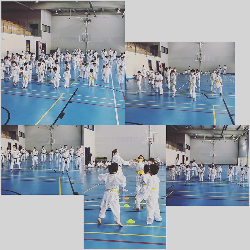 Club Miriam Cogolludo Karate 3