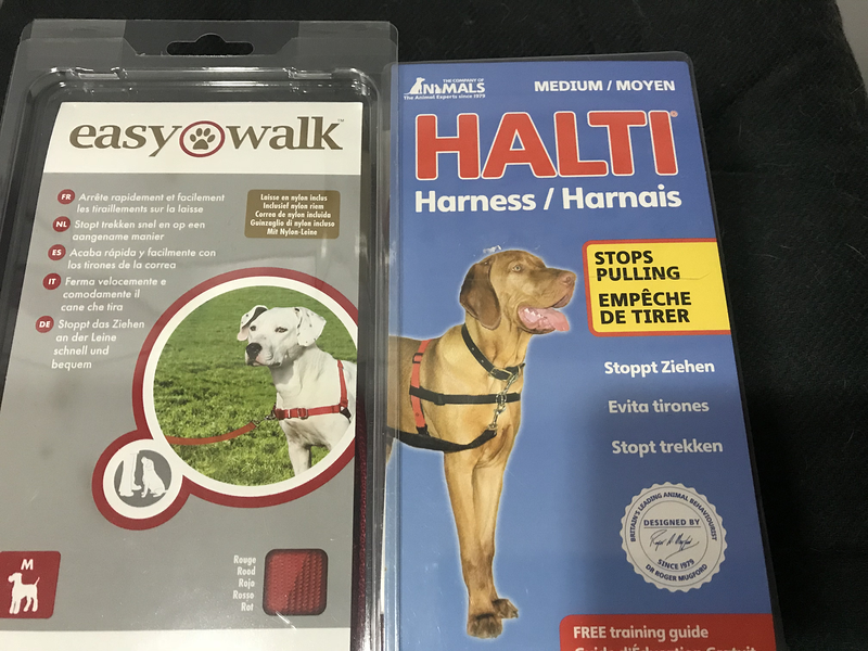 Los Amigos de Dexter 5