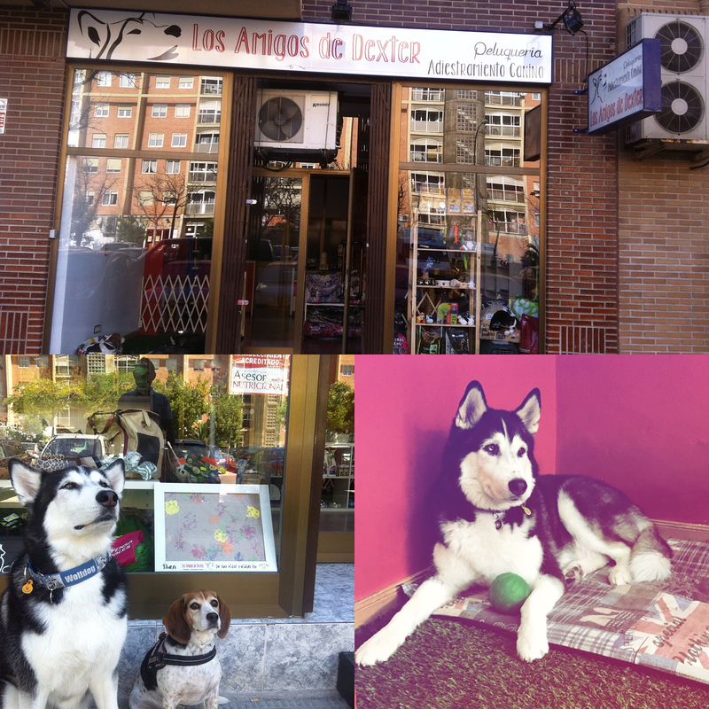 Los Amigos de Dexter 3