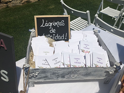 Galería de imágenes