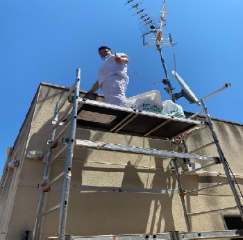 Multiservicio Alvarado Sanchez 2020 2