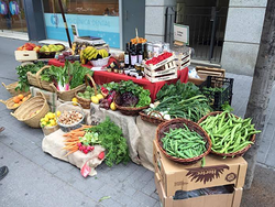 Galería de imágenes