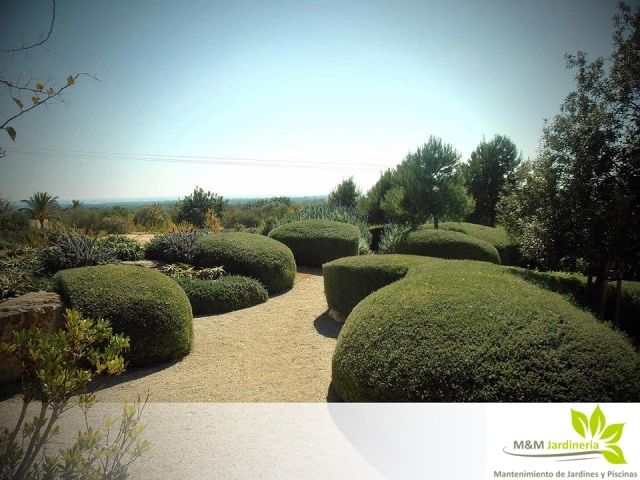 M&m Jardineria 8