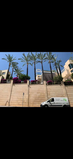 Galería de imágenes