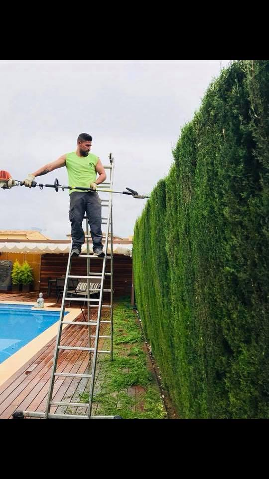 M&m Jardineria JARDINERIA: EMPRESAS DE SERVICIOS