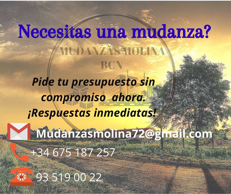 Mudanzas Molina BCN 10
