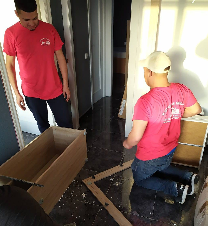 Mudanzas Molina BCN 17