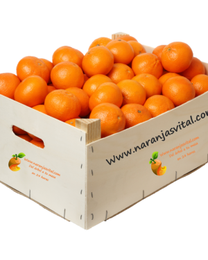 Naranjas Vital CITRICOS: MAYORISTAS